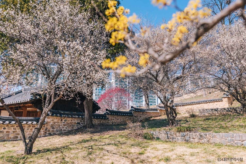 대전 회덕 동춘당 여행 추천 - 메고지고