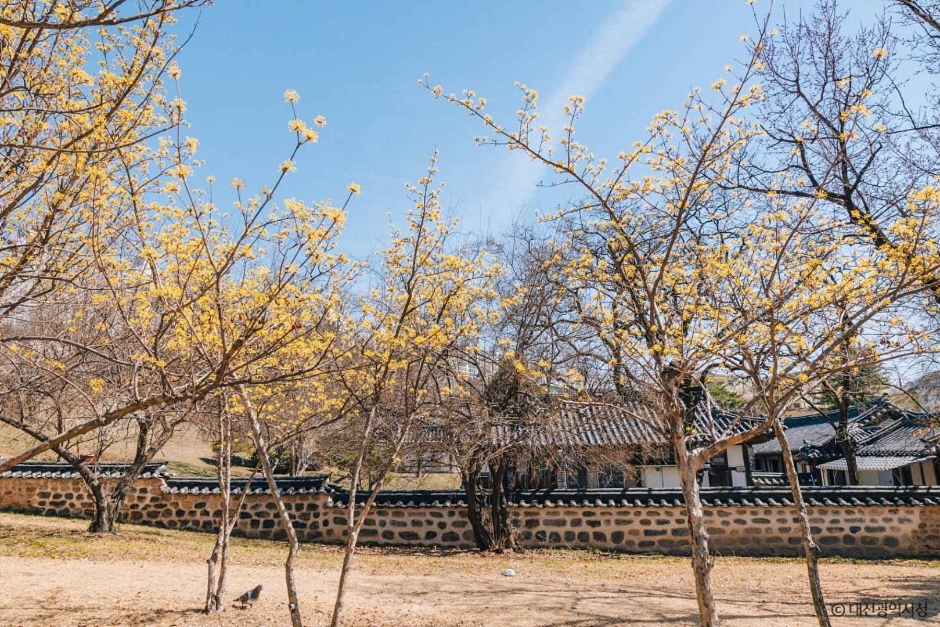 대전 회덕 동춘당 여행 추천 - 메고지고