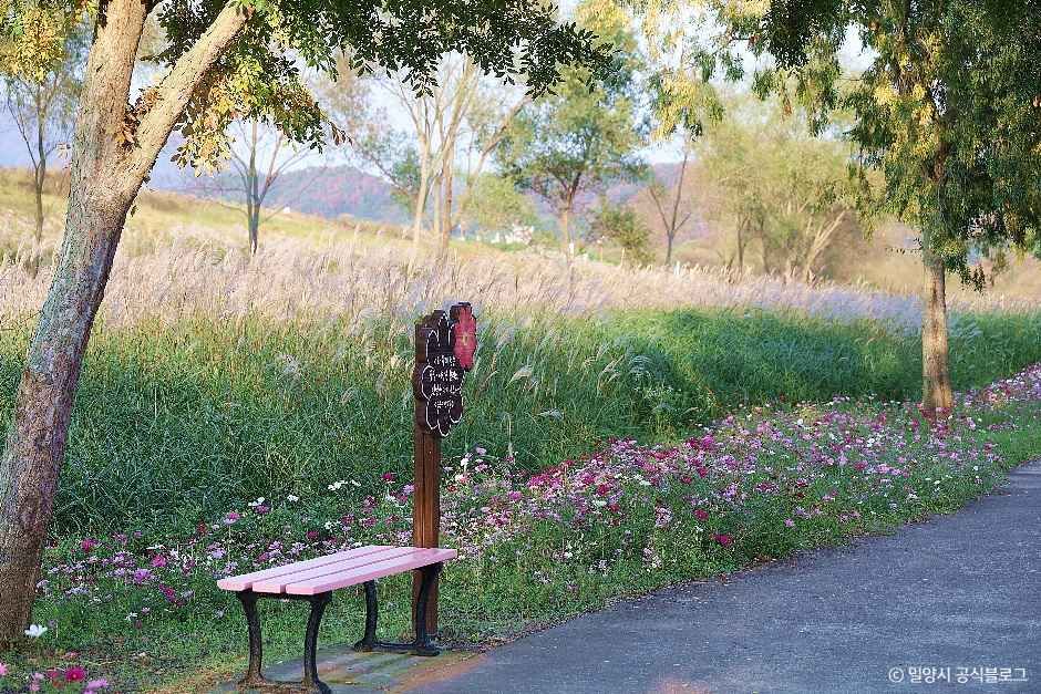 초동연가길 여행 추천 - 메고지고 초동연가길 여행 추천 - 메고지고
