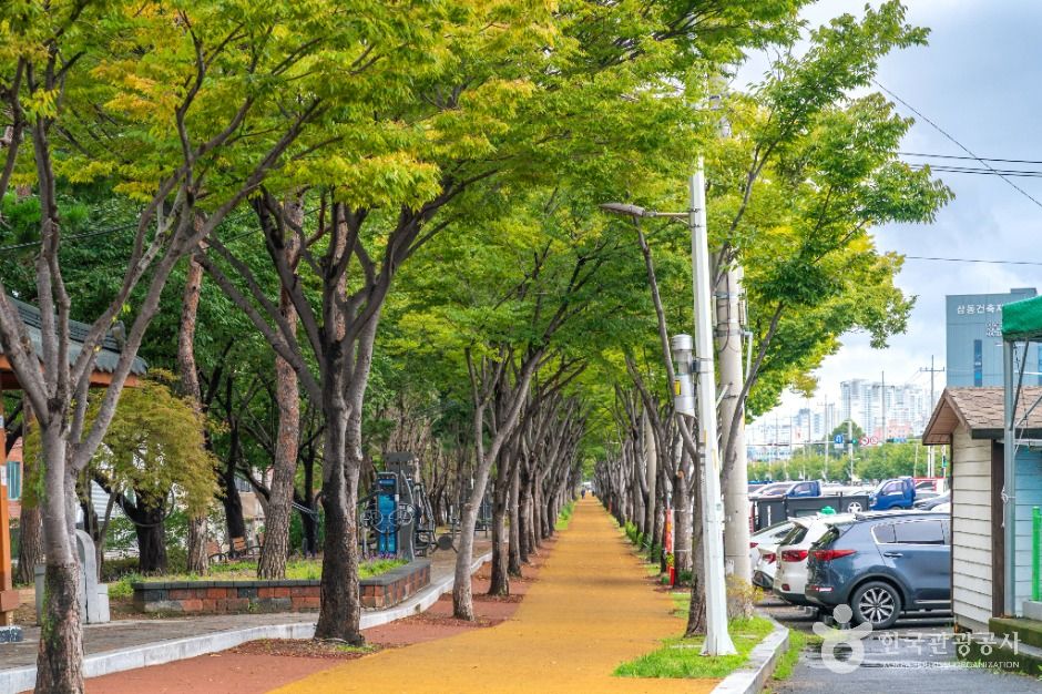 달서천 자전거 광장 여행 추천 - 메고지고 달서천 자전거 광장 여행 추천 - 메고지고