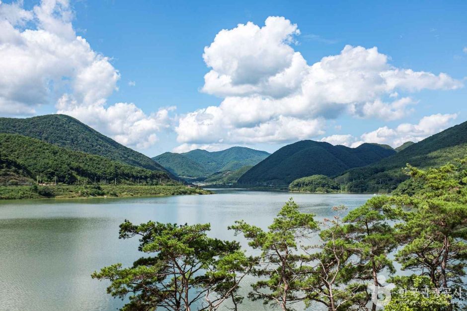 보현산댐 출렁다리 여행 추천 - 메고지고 보현산댐 출렁다리 여행 추천 - 메고지고