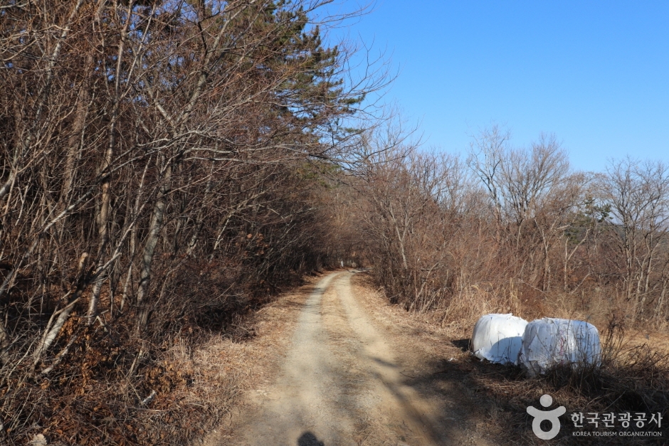 용골산 여행 추천 - 메고지고 용골산 여행 추천 - 메고지고