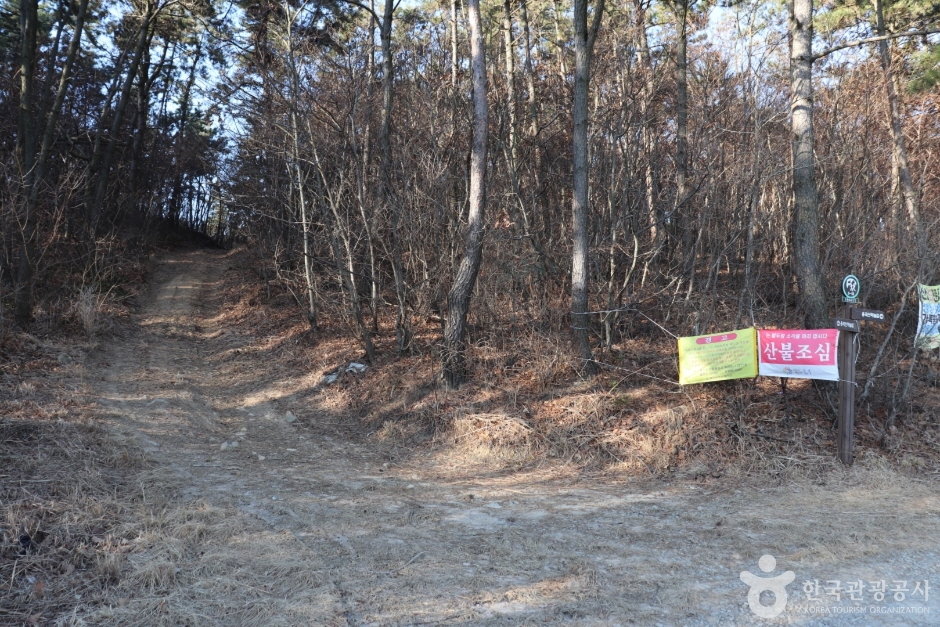 용골산 여행 추천 - 메고지고 용골산 여행 추천 - 메고지고