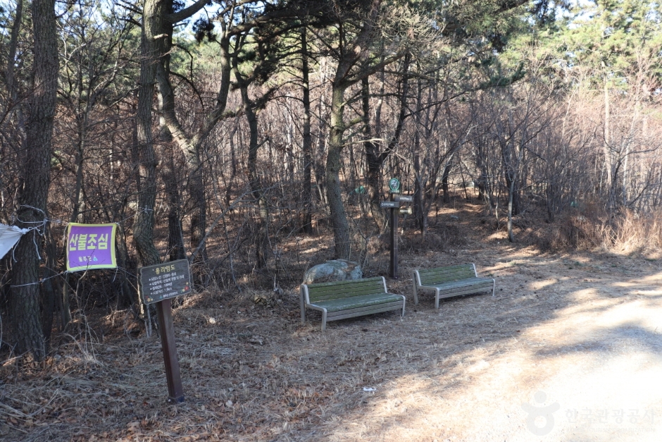 용골산 여행 추천 - 메고지고 용골산 여행 추천 - 메고지고
