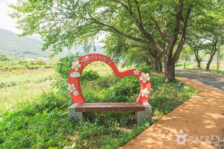 차리마을 여행 추천 - 메고지고 차리마을 여행 추천 - 메고지고