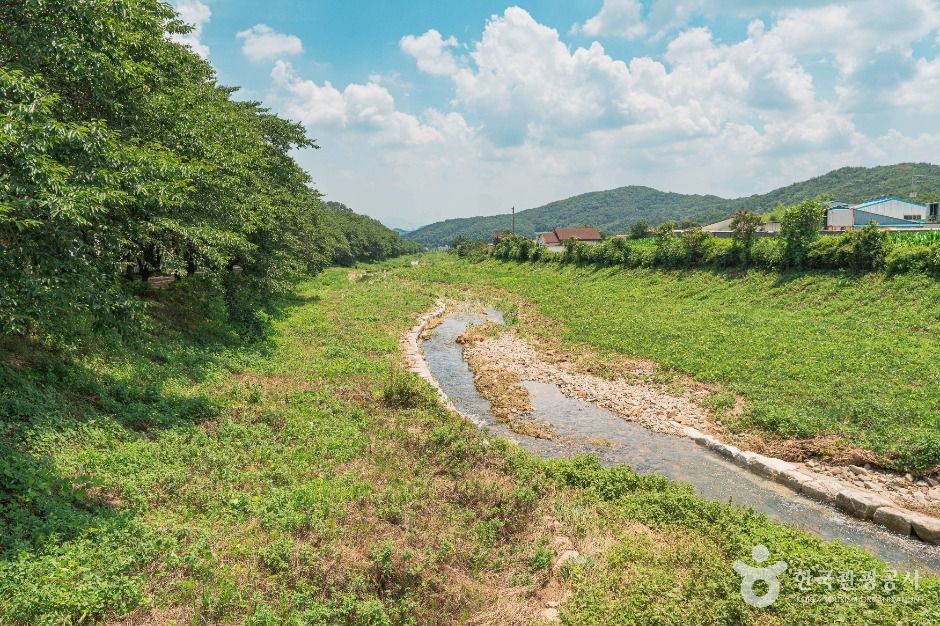 차리마을 여행 추천 - 메고지고 차리마을 여행 추천 - 메고지고
