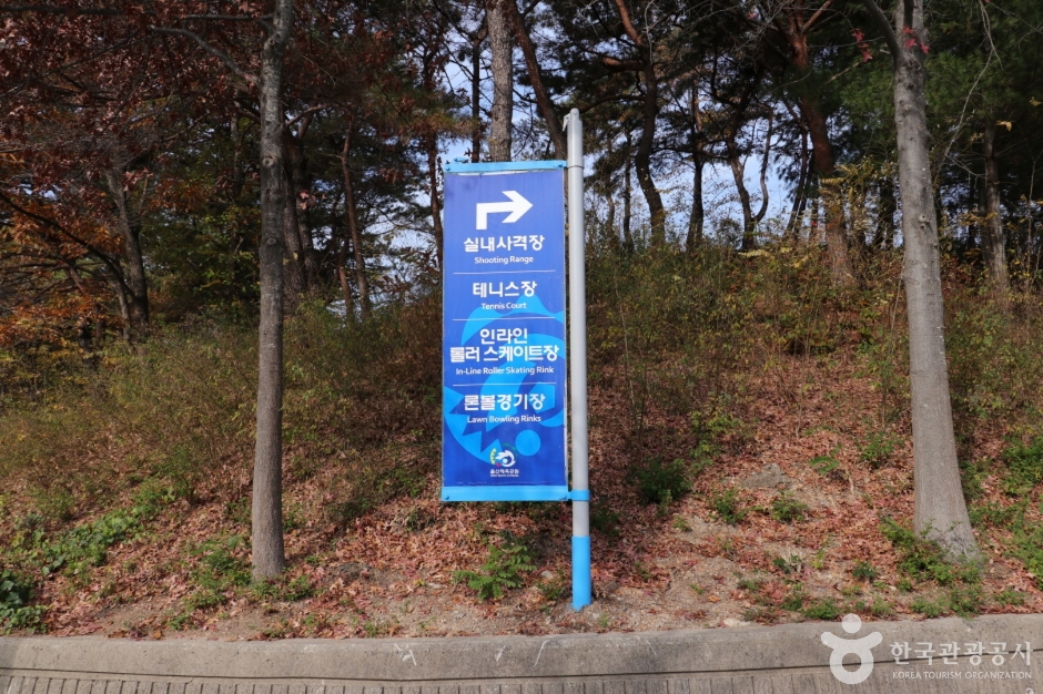 문수인라인롤러스케이트장 여행 추천 - 메고지고