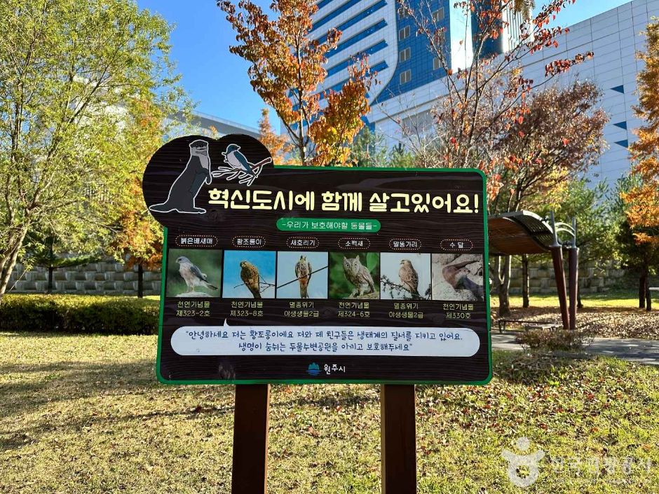두물수변공원 여행 추천 - 메고지고 두물수변공원 여행 추천 - 메고지고