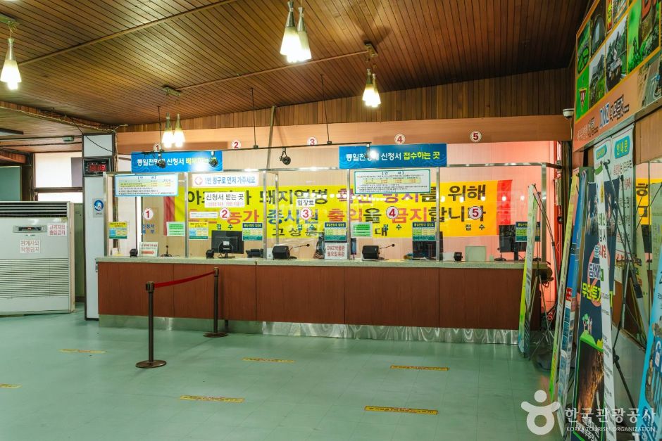 [DMZ 평화의 길] 통일전망대 코스 여행 추천 - 메고지고
