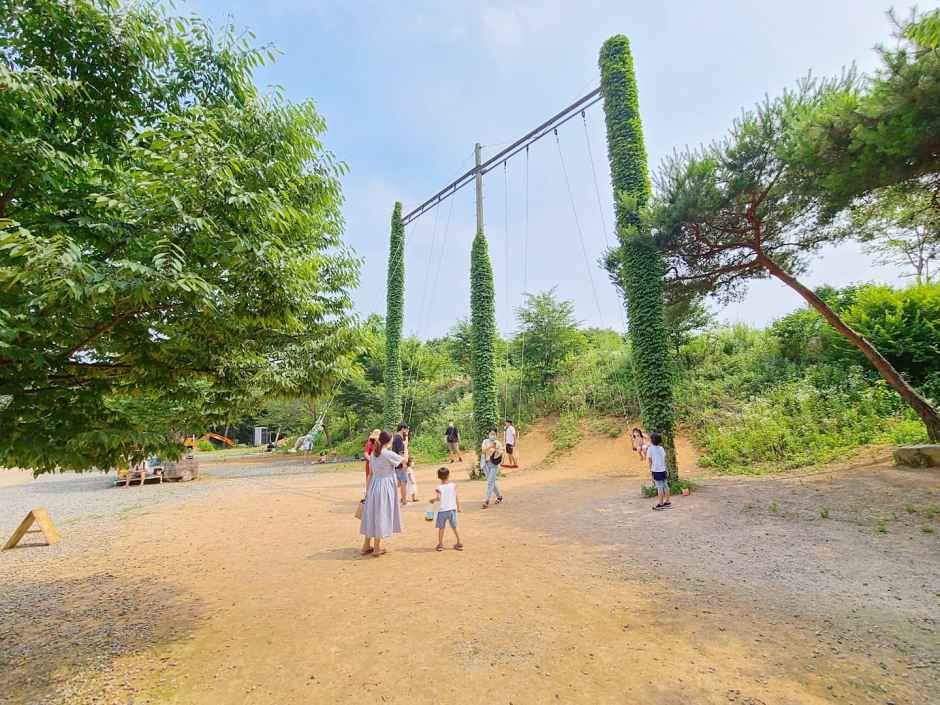 포니랜드 여행 추천 - 메고지고 포니랜드 여행 추천 - 메고지고