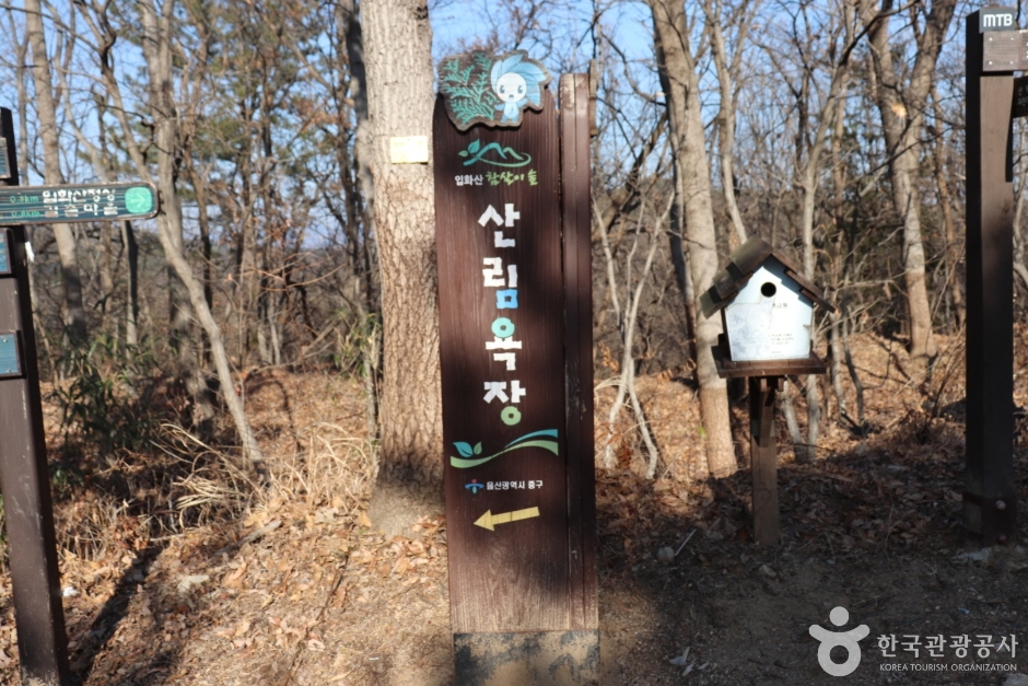 입화산자연휴양림 여행 추천 - 메고지고 입화산자연휴양림 여행 추천 - 메고지고