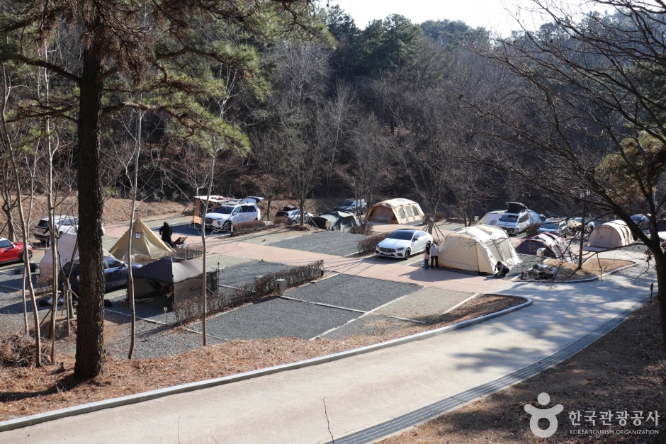 입화산자연휴양림 여행 추천 - 메고지고 입화산자연휴양림 여행 추천 - 메고지고