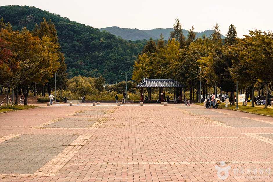 율하체육공원 여행 추천 - 메고지고 율하체육공원 여행 추천 - 메고지고
