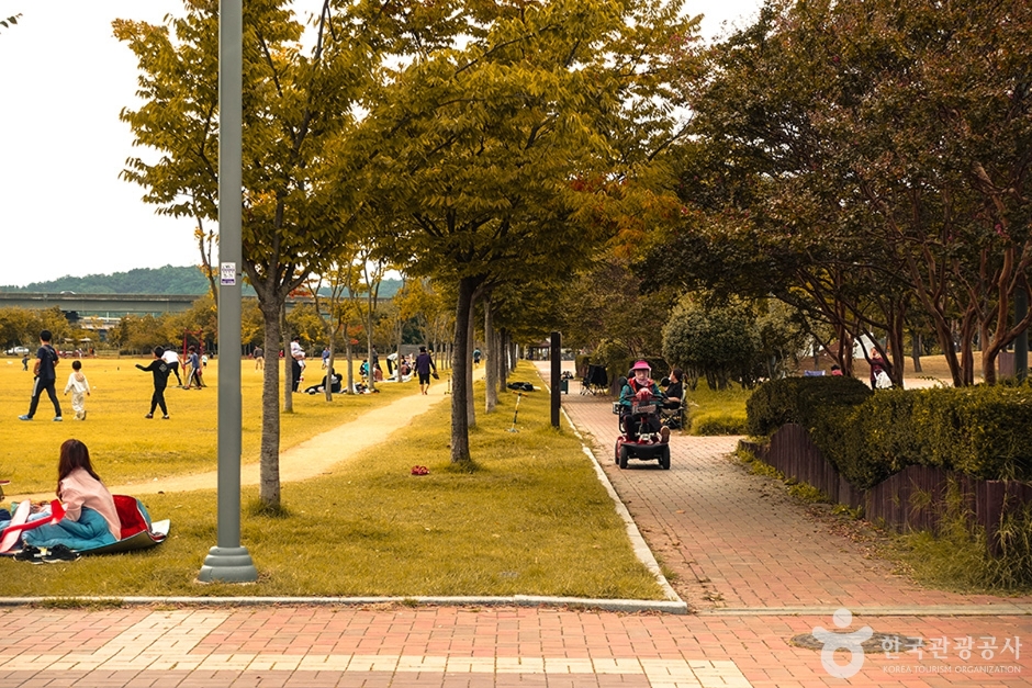 율하체육공원 여행 추천 - 메고지고 율하체육공원 여행 추천 - 메고지고