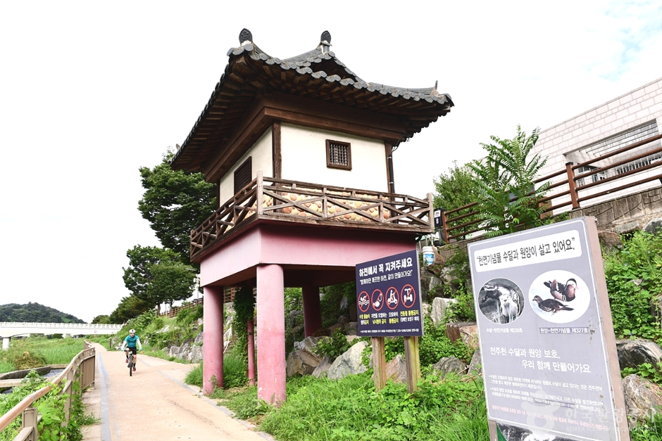 전주천 여행 추천 - 메고지고 전주천 여행 추천 - 메고지고