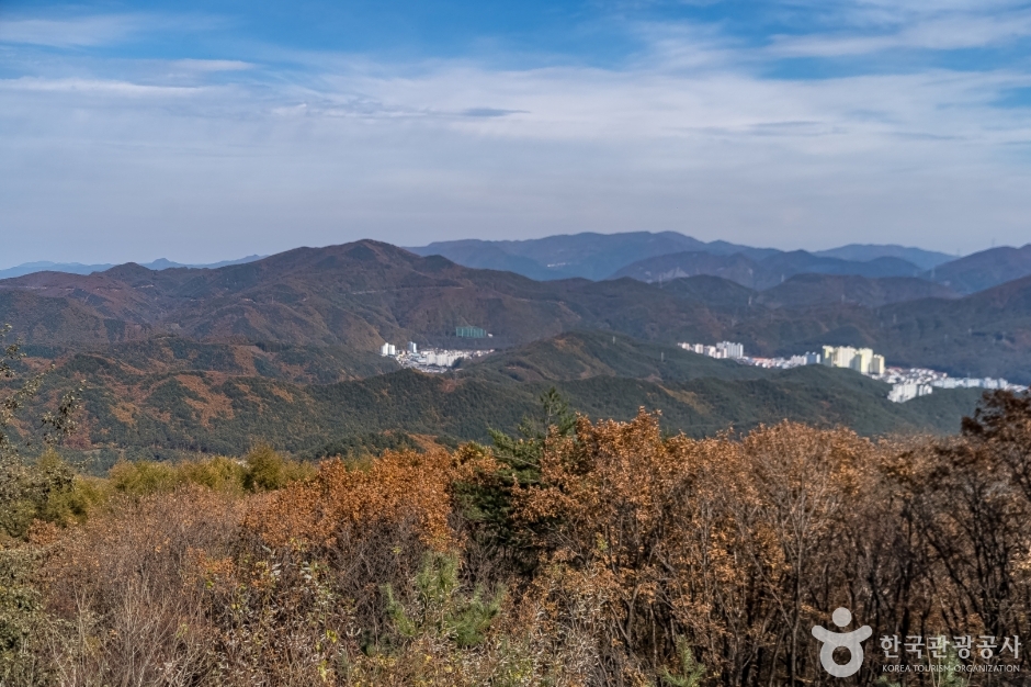 오투전망대 여행 추천 - 메고지고 오투전망대 여행 추천 - 메고지고