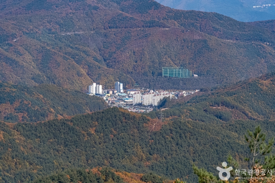 오투전망대 여행 추천 - 메고지고 오투전망대 여행 추천 - 메고지고