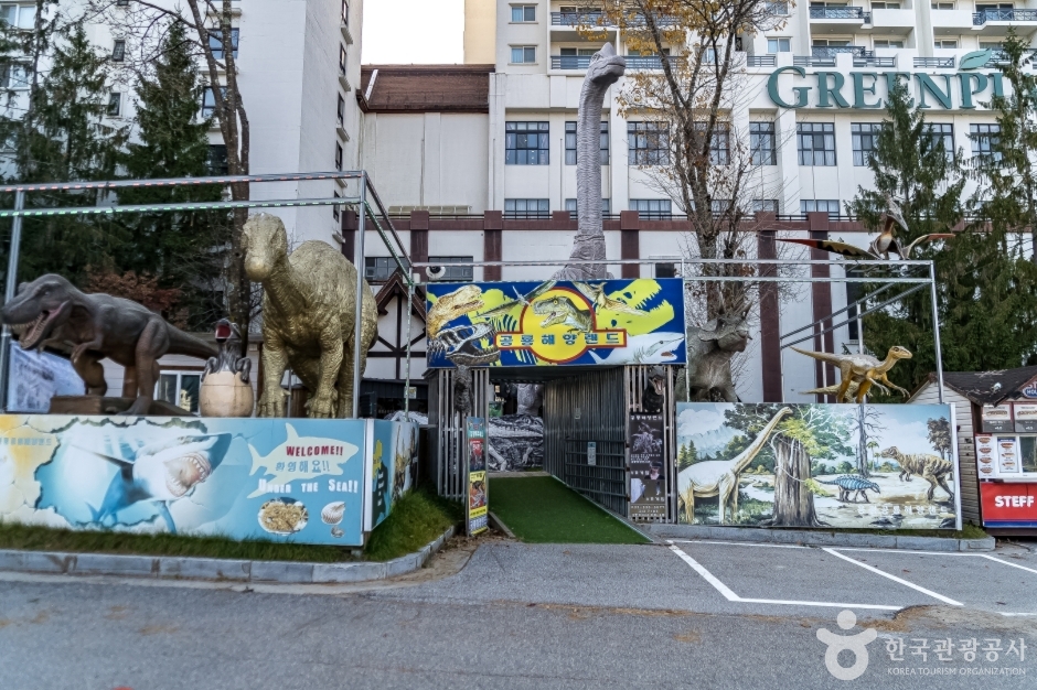 용평공룡해양랜드 여행 추천 - 메고지고 용평공룡해양랜드 여행 추천 - 메고지고