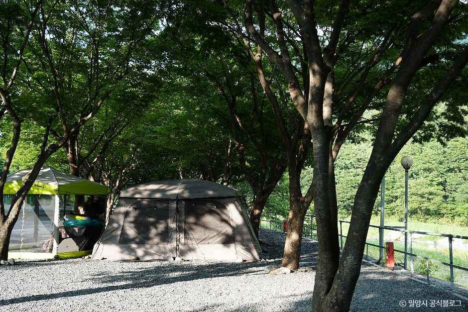 알프스캠핑장 여행 추천 - 메고지고 알프스캠핑장 여행 추천 - 메고지고
