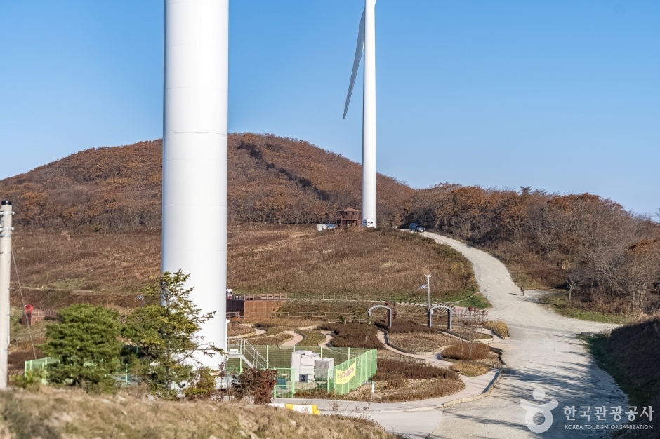 청옥산전망대 여행 추천 - 메고지고 청옥산전망대 여행 추천 - 메고지고