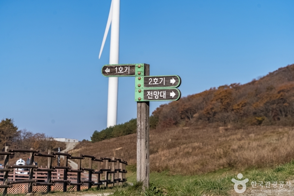 청옥산전망대 여행 추천 - 메고지고 청옥산전망대 여행 추천 - 메고지고
