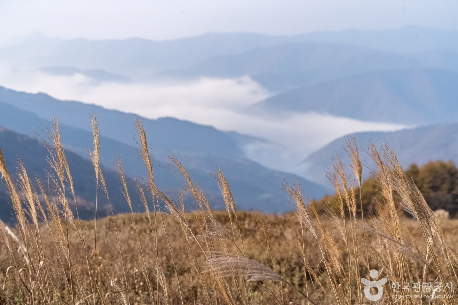 청옥산전망대 여행 추천 - 메고지고 청옥산전망대 여행 추천 - 메고지고