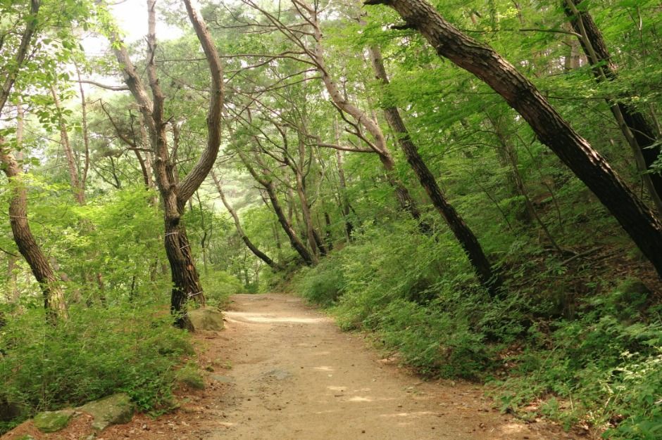 수태골 여행 추천 - 메고지고