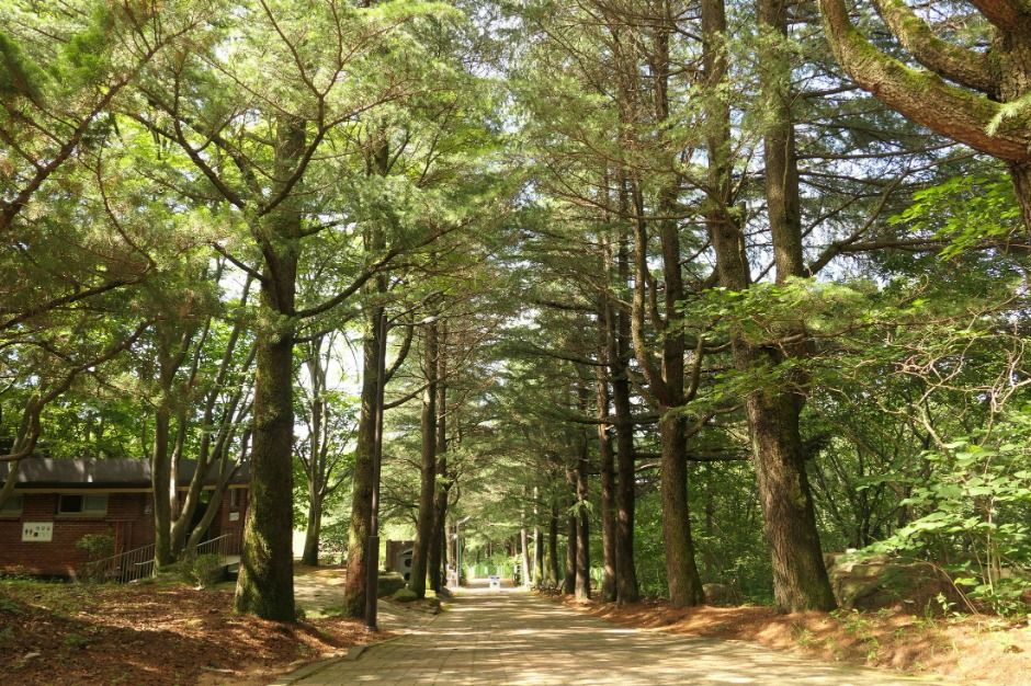 수태골 여행 추천 - 메고지고