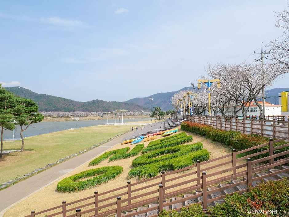 밀양강둔치 여행 추천 - 메고지고 밀양강둔치 여행 추천 - 메고지고