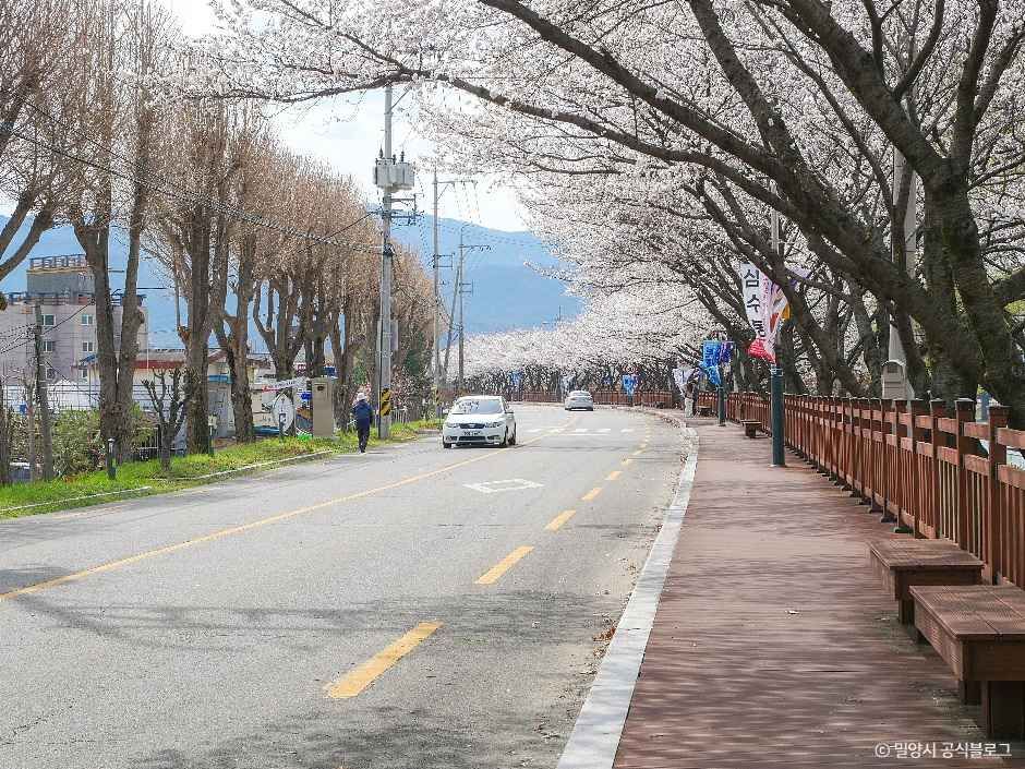 밀양강둔치 여행 추천 - 메고지고 밀양강둔치 여행 추천 - 메고지고