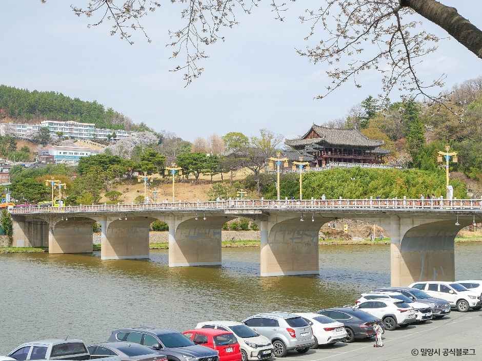 밀양강둔치 여행 추천 - 메고지고 밀양강둔치 여행 추천 - 메고지고