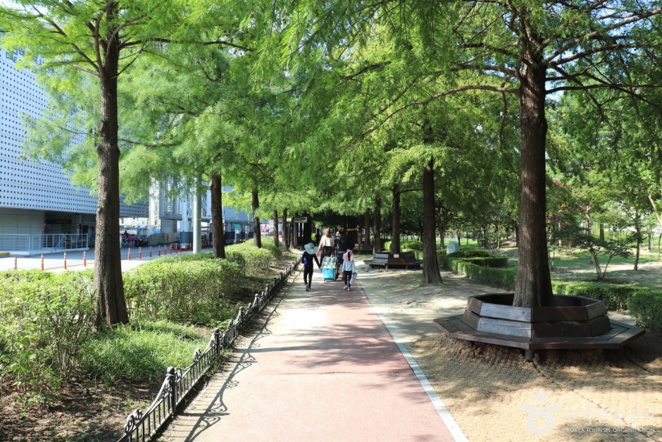 둔산대공원 여행 추천 - 메고지고 둔산대공원 여행 추천 - 메고지고
