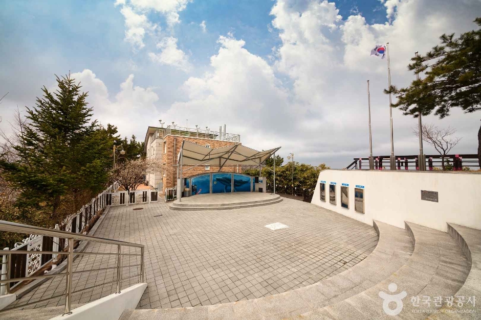 속초등대전망대 여행 추천 - 메고지고 속초등대전망대 여행 추천 - 메고지고