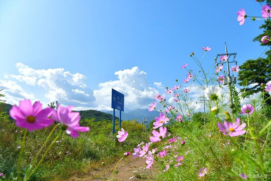 쌍천길 여행 추천 - 메고지고 쌍천길 여행 추천 - 메고지고