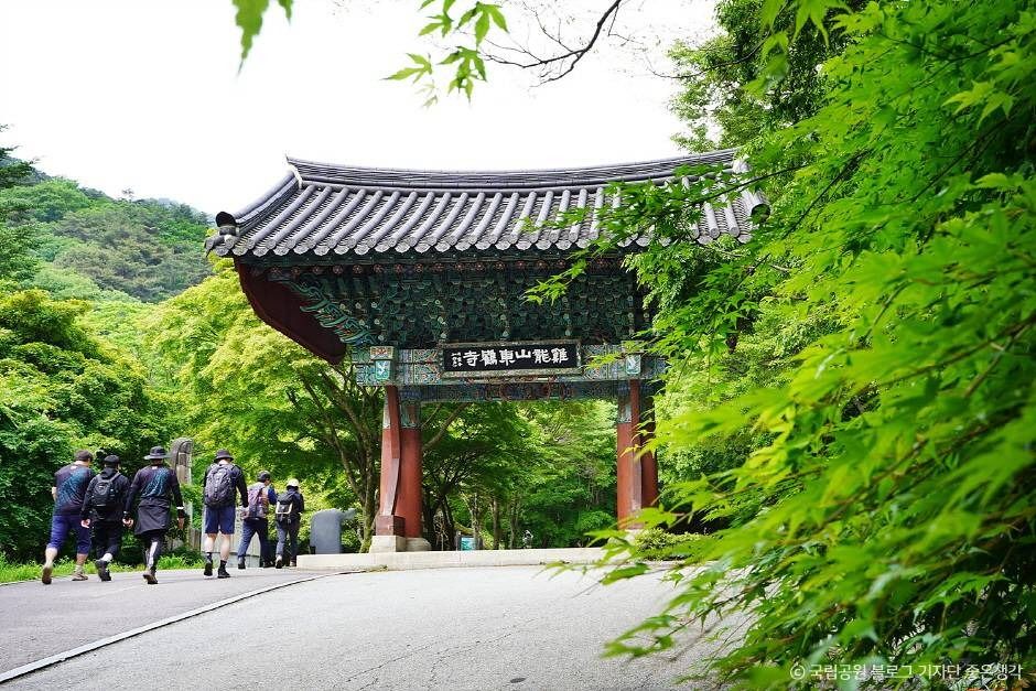계룡산국립공원 여행 추천 - 메고지고 계룡산국립공원 여행 추천 - 메고지고