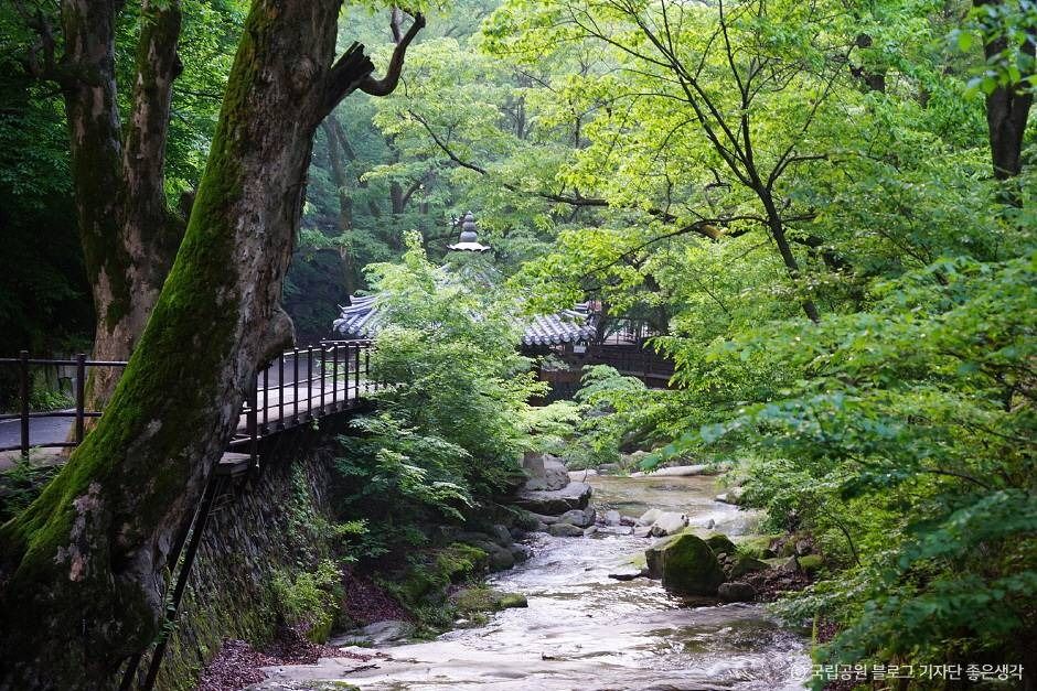 계룡산국립공원 여행 추천 - 메고지고 계룡산국립공원 여행 추천 - 메고지고