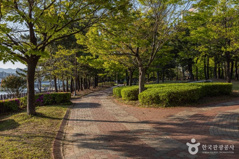 센텀 APEC나루공원 여행 추천 - 메고지고 센텀 APEC나루공원 여행 추천 - 메고지고