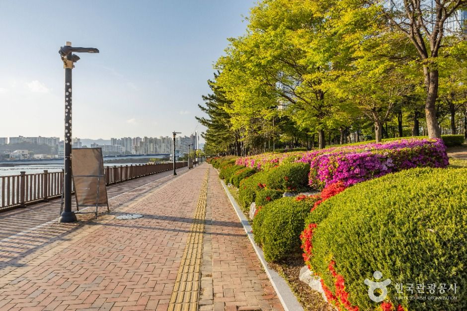 센텀 APEC나루공원 여행 추천 - 메고지고 센텀 APEC나루공원 여행 추천 - 메고지고