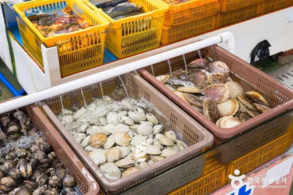 비응항 여행 추천 - 메고지고 비응항 여행 추천 - 메고지고