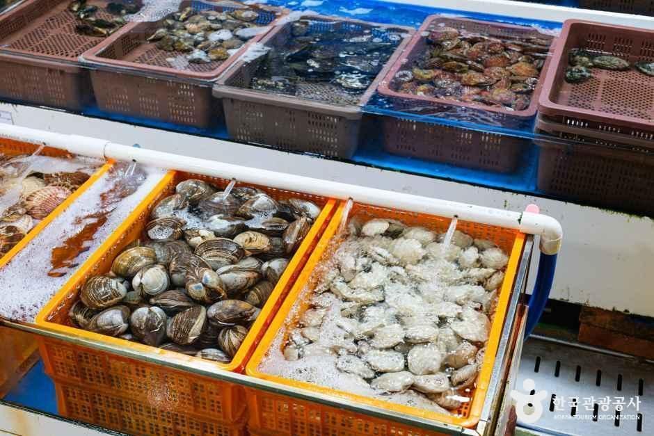 비응항 여행 추천 - 메고지고 비응항 여행 추천 - 메고지고