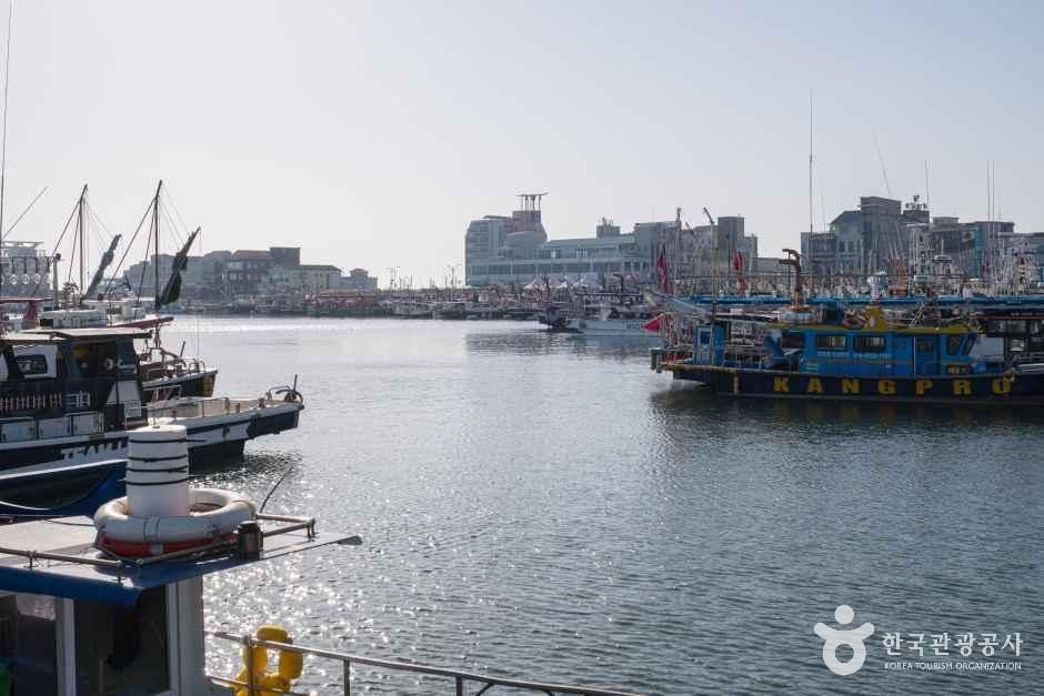 비응항 여행 추천 - 메고지고 비응항 여행 추천 - 메고지고