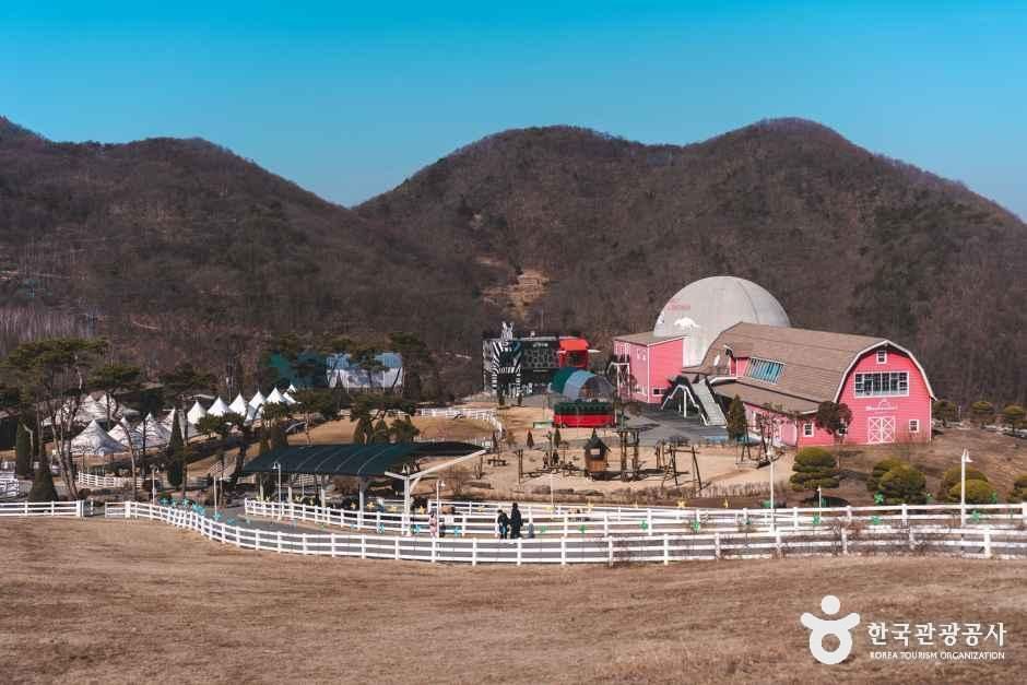 블랙스톤 벨포레 목장 여행 추천 - 메고지고 블랙스톤 벨포레 목장 여행 추천 - 메고지고