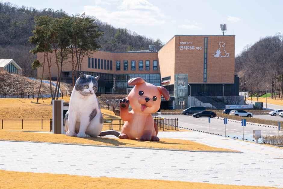 반려마루 여행 추천 - 메고지고