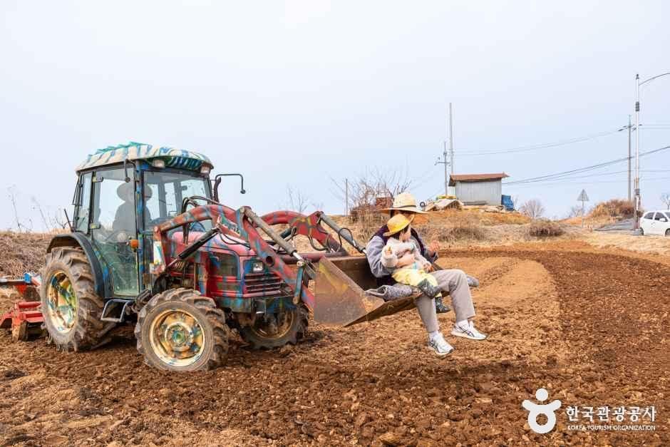 로렌츠감성치유시골체험 여행 추천 - 메고지고