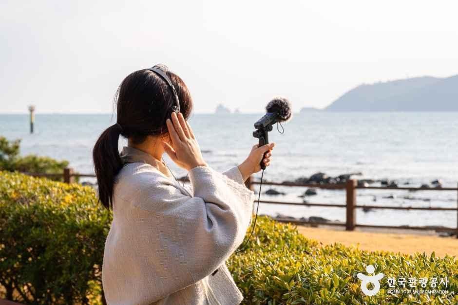 하버요가&무브먼트 여행 추천 - 메고지고 하버요가&무브먼트 여행 추천 - 메고지고
