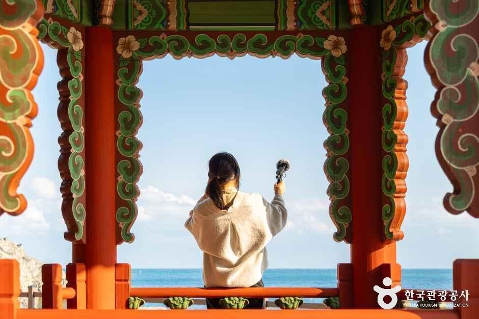 하버요가&무브먼트 여행 추천 - 메고지고 하버요가&무브먼트 여행 추천 - 메고지고