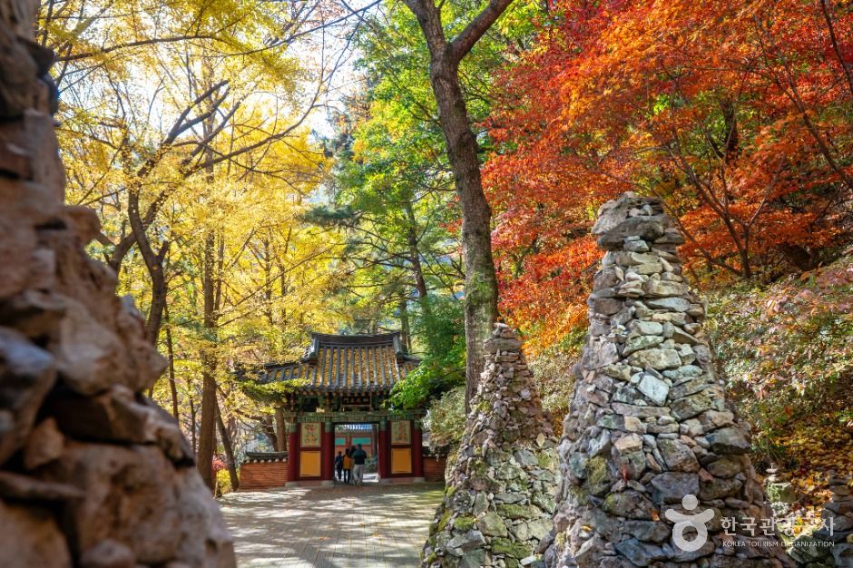 금오산도립공원 여행 추천 - 메고지고 금오산도립공원 여행 추천 - 메고지고