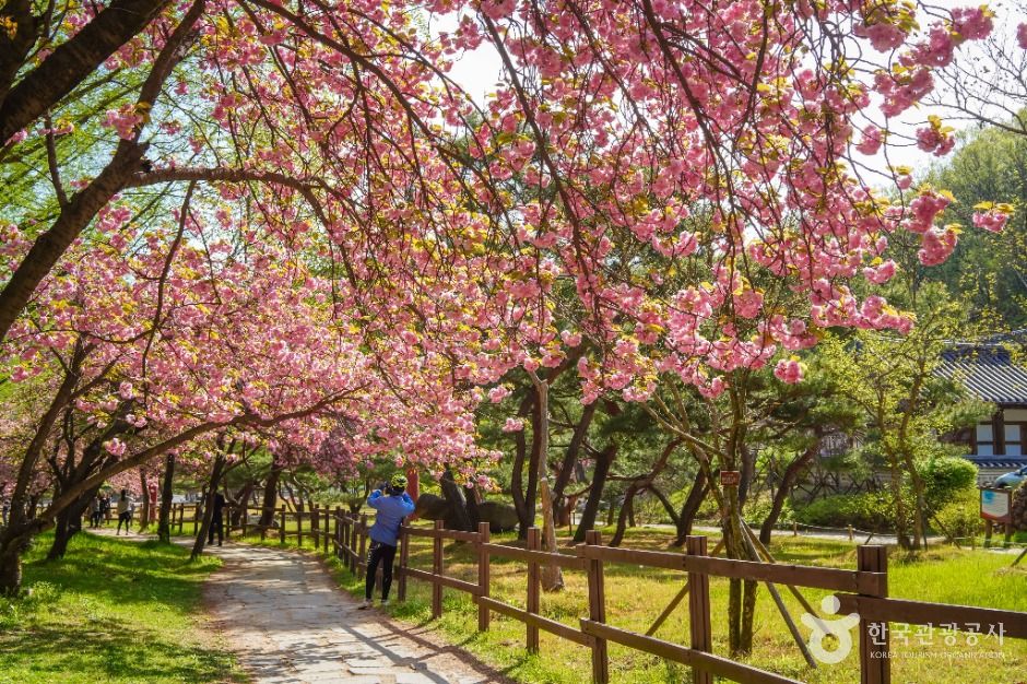 금오산도립공원 여행 추천 - 메고지고 금오산도립공원 여행 추천 - 메고지고