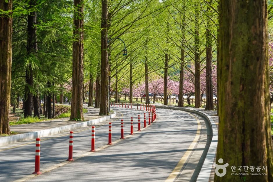 금오산도립공원 여행 추천 - 메고지고 금오산도립공원 여행 추천 - 메고지고