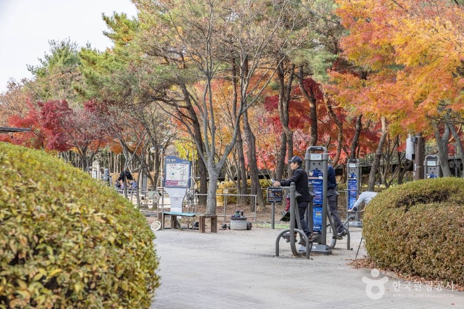 금천 체육공원 여행 추천 - 메고지고